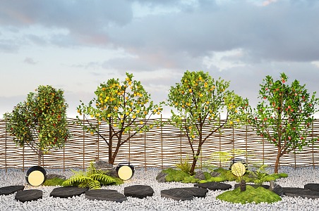 Modern fruit tree orange tree flower fruit tree grapefruit tree peach tree loquat tree 3d model