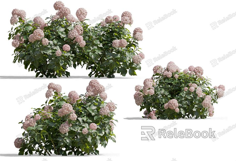 Modern Hydrangea Flower model