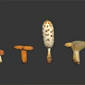Modern mushroom straw mushroom poisonous mushroom plant 3d model