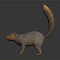 Gray Squirrel With Long Bushy Tail Standing On Dark Background With Reflection 3d model