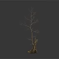 Bare Tree with Thick Trunk and Exposed Roots Against White Background 3d model