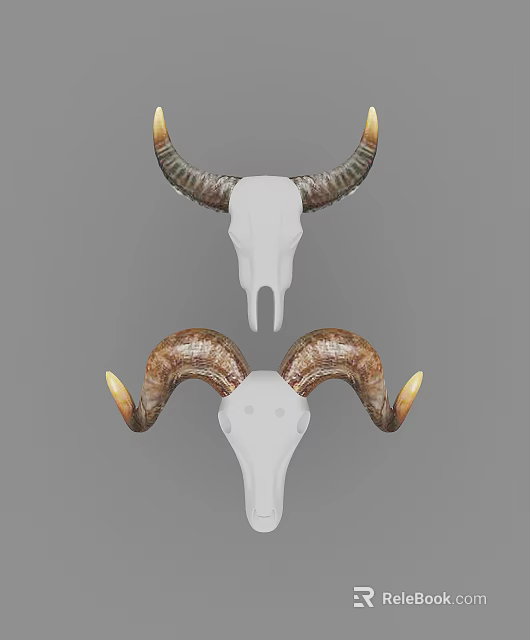 Decorative Animal Skull Wall Decor With Curved Horns And White Bone Design 3d model 