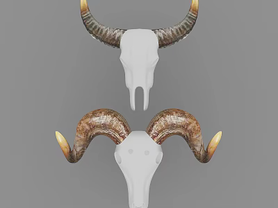Decorative Animal Skull Wall Decor With Curved Horns And White Bone Design 3d model
