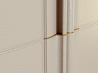 Beige Leather Wardrobe Door with Stitched Patterns and Golden Connecting Trim 3d model