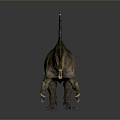 Realistic Sail Backed Spinosaurus Dinosaur Model With Green Brown Skin And Open Mouth