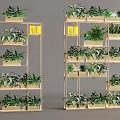 Indoor Decorative Green Plant Partition With Multi Layered Golden Frame Design