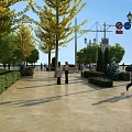 Well Designed Road Facilities With Street Lamps Traffic Signs And Green Hedges Along Paved Sidewalk
