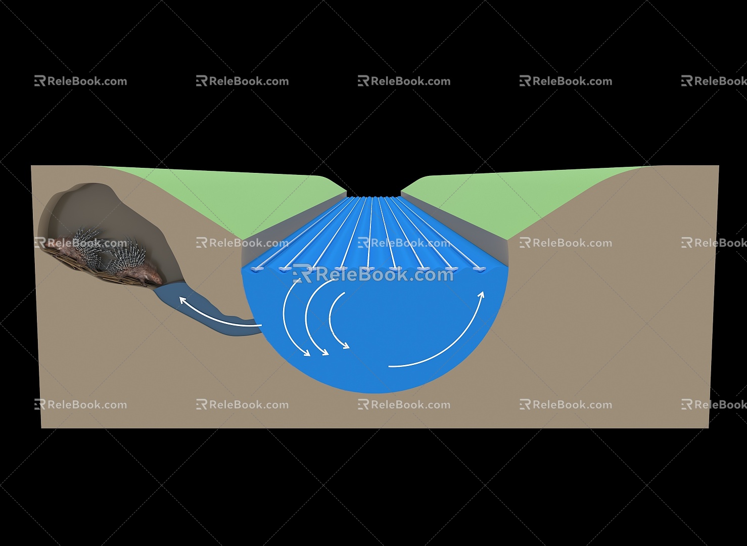 Cartoon Cartoon River Hedgehog Animal Soil Subsurface Profile Flood Soil Structural Layer Subsurface Profile Structure 3d model