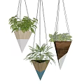 Lush Green Hanging Plants in Conical Wooden White Blue Planters for Interior Decor