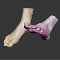 Man Feet 3D Rendered Anatomical Model With Realistic Toes And Skin Texture