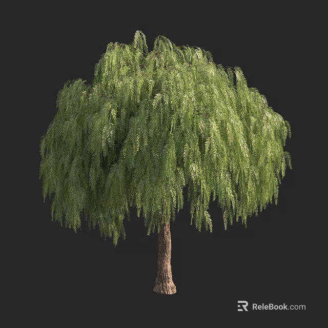 Weeping Willow Tree With Lush Green Drooping Branches And Tall Brown Trunk 3d model