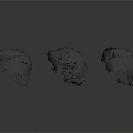 Black Textured Sculptural Scene Components In Various Sizes And Shapes