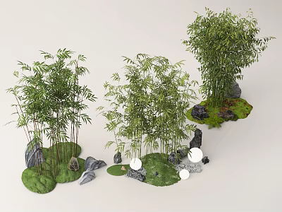 Bamboo Plants In Landscape With Moss And Stones 3d model