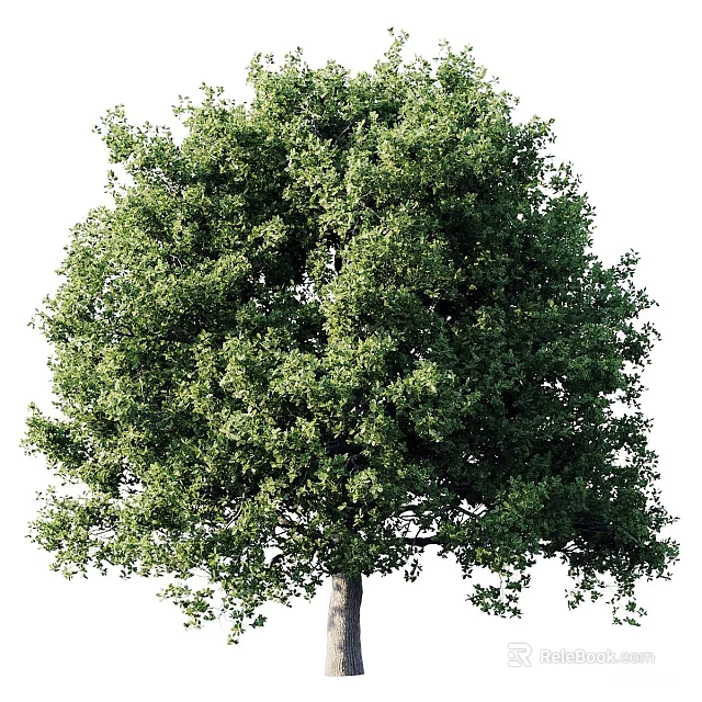 Tree Pit With Lush Green Foliage And Healthy Tree In Urban Setting 3d model 