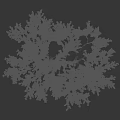 Healthy Fruit Tree With Lush Green Leaves Ripe Fruits And Strong Branches