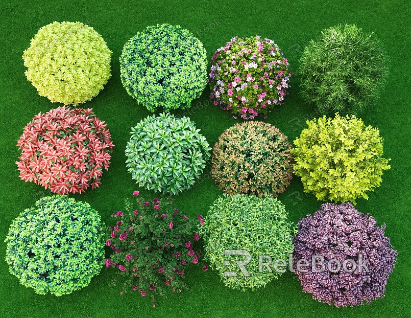 Landscape shrub ball flower shrub plant combination bright golden privet safflower stepwood boxwood heather model