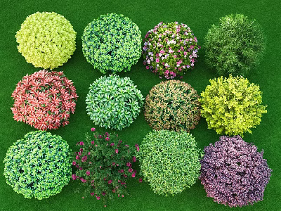 Various Colors Different Types Round Bushes Beautifully Arranged On Green Grass 3d model