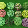 Various Colors Different Types Round Bushes Beautifully Arranged On Green Grass