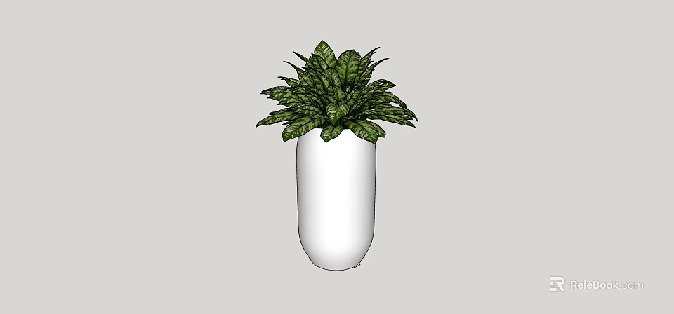 Lush Green Bonsai Potted Plant In White Ceramic Cylinder Vase For Indoor Decor 3d model 