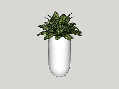 Lush Green Bonsai Potted Plant In White Ceramic Cylinder Vase For Indoor Decor 3d model