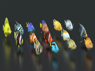 Colorful Tropical Fish Various Species Showcasing Shiny Scales in Reflective 3d model