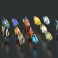 Colorful Tropical Fish Various Species Showcasing Shiny Scales in Reflective
