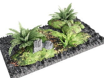 plant combination plant green plant grass tropical plant sandy soil 3d model