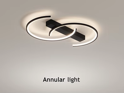 Modern Annular Shaped Ceiling Light with Sleek Design and Soft Illumination 3d model