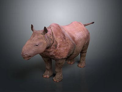 Standing Pink Rhinoceros with Single Horn and Rough Skin on Plain Gray Background 3d model