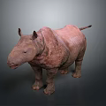 Standing Pink Rhinoceros with Single Horn and Rough Skin on Plain Gray Background