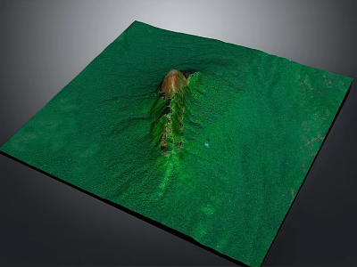 Green Terrain Model With Central Hill Structure And Flat Surface 3d model