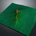 Green Terrain Model With Central Hill Structure And Flat Surface