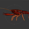 Detailed Realistic Red Crayfish With Shiny Exoskeleton And Orange Legs