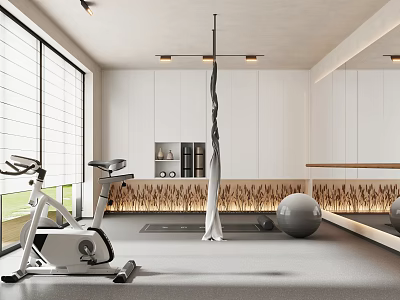 Modern Entertainment Room With Exercise Bike Yoga Ball Large Mirror And Storage Cabinet 3d model