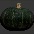 Green Pumpkin with Textured Surface and Brown Stem Fresh Organic Healthy Food