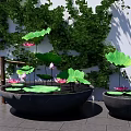 Zen Style Fish Tank Aquarium with Lotus Plants and Green Wall
