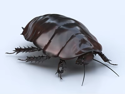Dark Brown Beetle Sculpture With Shiny Exoskeleton Detailed Legs And Antennae On Light Background 3d model