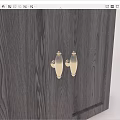 Golden Door Handles on Dark Wooden Door with Elegant Decorative Design for Home Interior