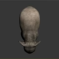 Realistic Baby Elephant 3D Model With Detailed Texture And Standing Pose On Gray Background