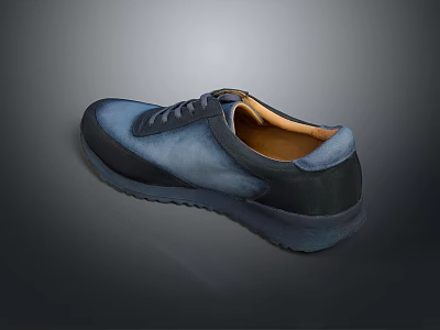 Blue And Black Casual Shoes With Lace Up Design And Comfortable Rubber Sole 3d model