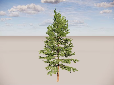 Tall Arbor With Lush Green Foliage Against Blue Sky And Clouds On Open Ground 3d model