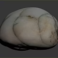 High Quality Natural White Stone Decorative Object with Green Veins and Polished Smooth Surface