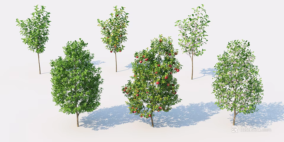 Various Arbor Types With Green Leaves And Red Fruits In Natural Setting 3d model 