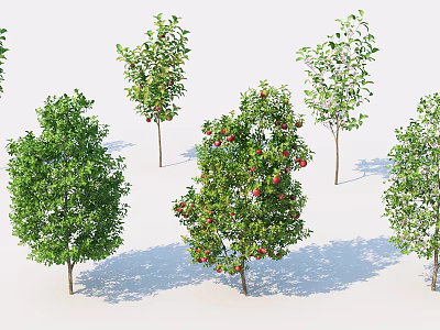 Various Arbor Types With Green Leaves And Red Fruits In Natural Setting 3d model