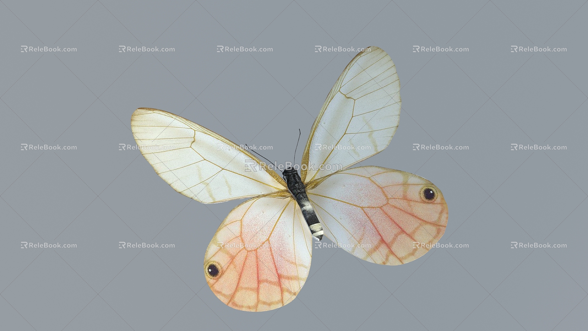 Modern Butterfly 3d model