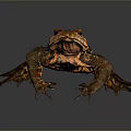 Brown Toad With Red Spots Prominent Eyes And Textured Skin On Dark Background