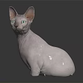 Hairless Sphynx Cat With Green Eyes Sitting On Shiny Surface Against Dark Background