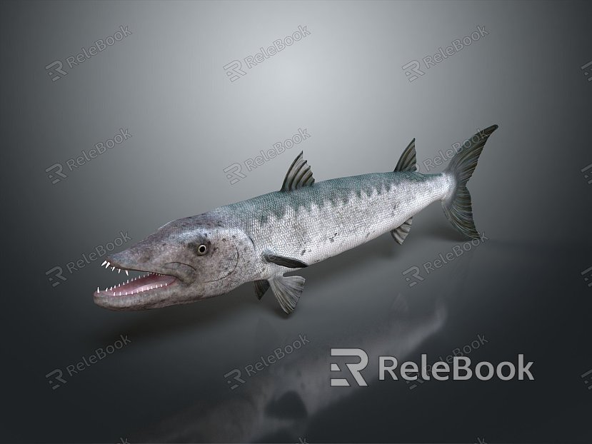 Catfish Carp Sturgeon Bass Freshwater Fish Various Carp Grass Carp Crucian Carp model