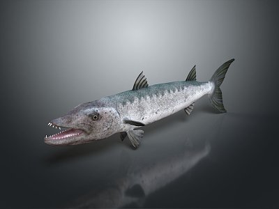 Catfish Carp Sturgeon Bass Freshwater Fish Various Carp Grass Carp Crucian Carp 3d model