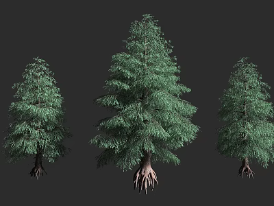 Three Arbor Trees With Detailed Green Foliage And Exposed Roots 3d model